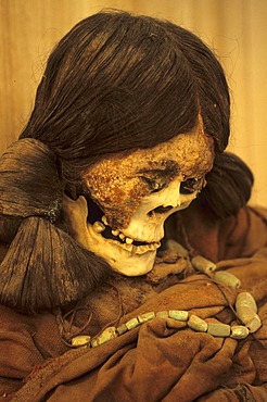 CHL, Chile, Atacama Desert: Miss Chile, the mummy of a woman, La Paige Museum in San Pedro de Atacama.