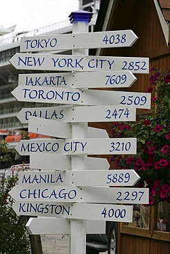 USA, United States of America : International signpost.