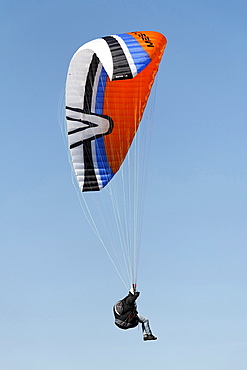 Landing approach of a paraglider, Lower Rhine, NRW, Germany