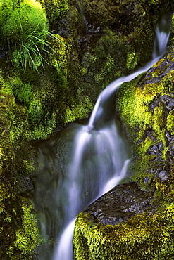 Dynjandi Waterfall, Iceland, Atlantic Ocean