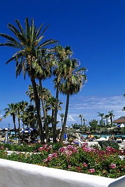 Lago Martinez, Puerto de la Cruz, Canary Islands, Spain, Europe