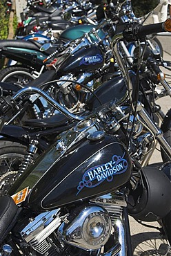 Harley Davidson motorbikes parked in a row at Harley Days 2006, Hamburg, Germany