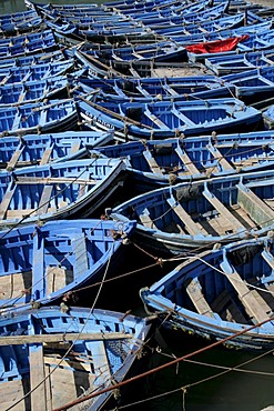 Blue fishing boats, Essaouira, Morocco