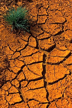 Cracks in red soil, Lausitz, Germany