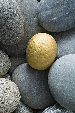 Golden stone and grey gravel