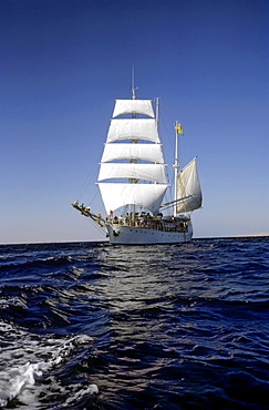 Three-mast sailing ship Amorina, Red Sea