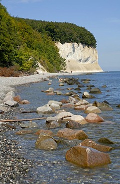 Chalk Cliffs of Ruegen, national park Jasmund, Ruegen, Rugia, Mecklenburg-Western Pomerania, Germany