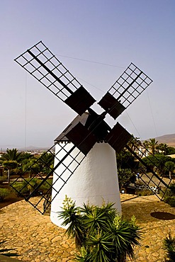 Windmill, Antigua, Fuerteventura, Canary Islands, Spain