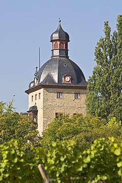 Vollrads Castle, Rheingau (Rhine District), Hesse, Germany