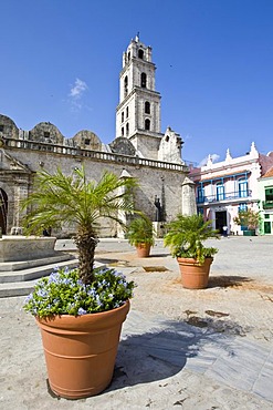 Basilica Menor de San Francisco de Asis in the historic city centre of Havana, Cuba, Caribbean