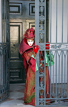 Person wearing mask, Carnival in Venice, Venice, Italy, Europe