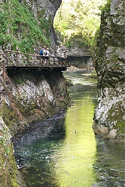 Vintgar Gorge with Radovna River near Bled -Triglav National Park - Slovenia