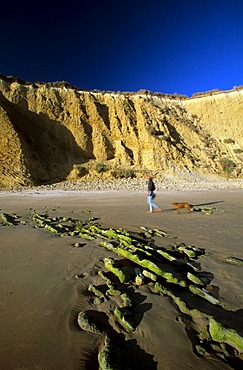 Conil de la Frontera Playa de Fontanilla - Costa de la Luz Andalusia Province Cadiz Spain