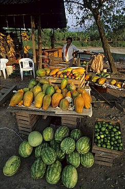 Fruits in Poza Rica Veracruz Mexico