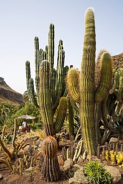 Palmitos Park, Gran Canaria, Spain