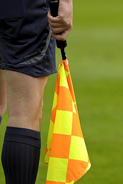 Linesman with flag