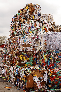 Bundled waste paper for recycling, Bamberg, Upper Franconia, Bavaria, Germany, Europe