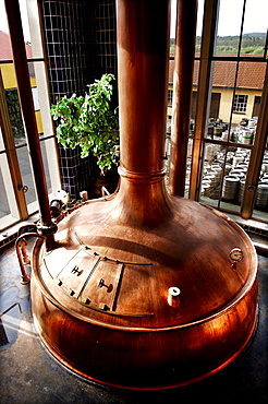 Copper kettle at a brewery, Schnaittach, Middle Franconia, Bavaria, Germany, Europe