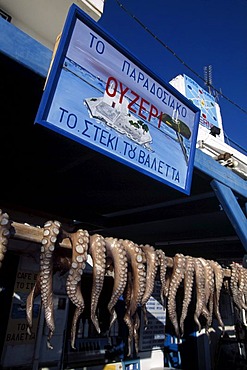 Octopus, Naxos, Cyclades, Greece