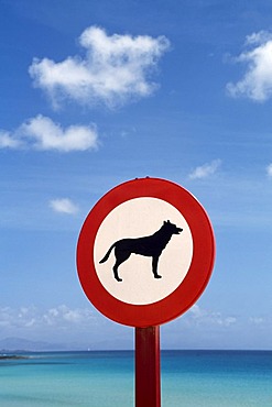 Dog prohibition sign, Playa de Sotavento, Jandia, Fuerteventura, Spain