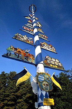 Maibaum or maypole, Viktualienmarkt market, Munich, Bavaria, Germany, Europe