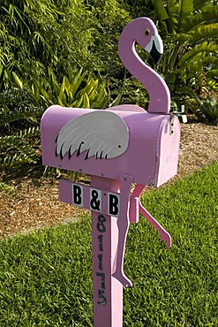 Mailbox shaped like a pink flamingo, Florida, USA