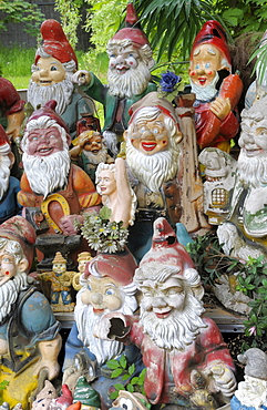 Ceramic figurines, garden gnomes