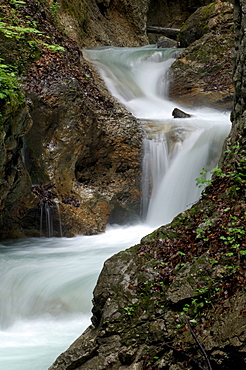 Stream, Wolfsklamm (Wolf's Gorge), Stans, North Tirol, Austria, Europe