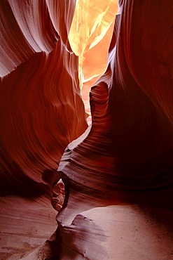 Slot Canyon of the Lower Antelope Canyon, Navajo Tribal Park, Page, Arizona, USA, North America