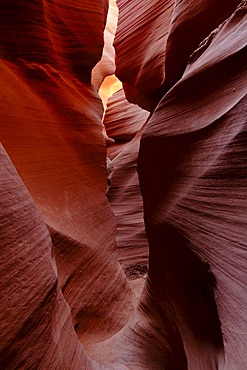 Slot Canyon of the Lower Antelope Canyon, Navajo Tribal Park, Page, Arizona, USA, North America