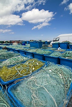 Flues in the port of Roscoff, Brittany, France