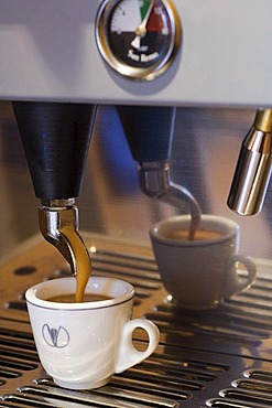 A cup of coffee is prepared with an espresso machine