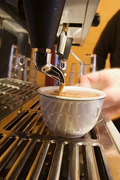 A cup of coffee is prepared with an espresso machine