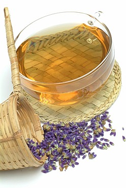 Herb tea made of lavender Lavendula officinalis, vulgaris, angustifolia