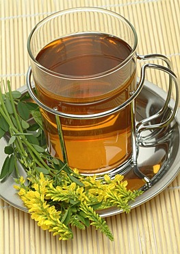 Tea made of Melilotus officinalis, Melilot