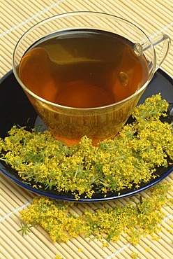 Lady's bedstraw, medicinal tea, Galium verum, Gallio