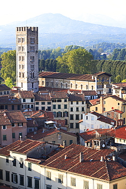 Campanile, San Frediano, Lucca, Tuscany, Italy