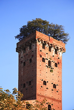 Guinigi Tower, Lucca, Tuscany, Italy