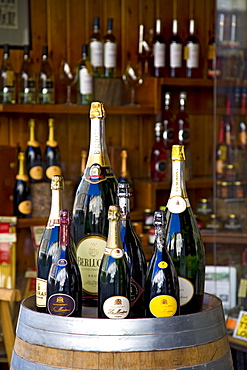 Bottles of prosecco in a shop, Veneto, Italy, Europe