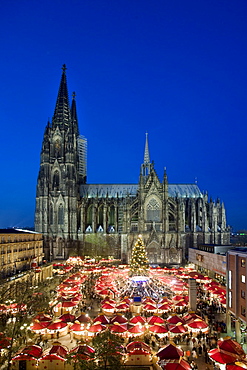 Illuminated christmas market and christmas tree in front of Cologne Cathedral, North Rhine-Westphalia, Germany, Europe