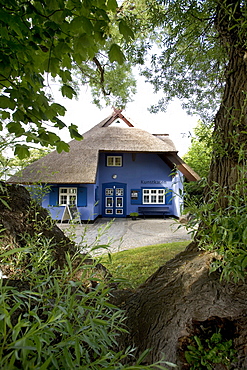 Museum, Kunstkaten, literally art cottage, Ahrenshoop, Fischland, Mecklenburg-Western Pomerania, Germany, Europe