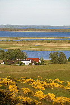 View of the village Grieben from the Dornbusch, hill, Hiddensee Island, Baltic Sea, Mecklenburg-Western Pomerania, Germany, Europe