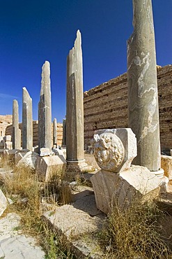 New forum at Leptis Magna