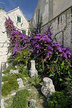 Historic city of Split, Diocletian Palace, Dalmatia, Croatia