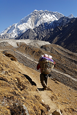 Trekking porter on Khumbu glacier with Nuptse (7861), Khumbu Himal, Sagarmatha National Park, Nepal