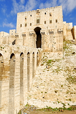 Citadelle of Aleppo, Syria