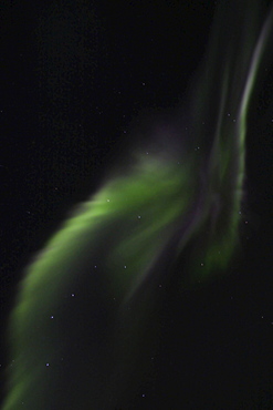 Northern Lights (Aurora Borealis), explosion of green light, Yukon Territory, Canada