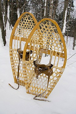 Old-fashioned wooden snowshoes, Quebec, Canada