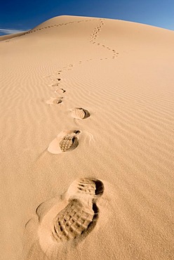 Dune with footprints, Coral Pink Sand Dunes State Park, Utah, USA