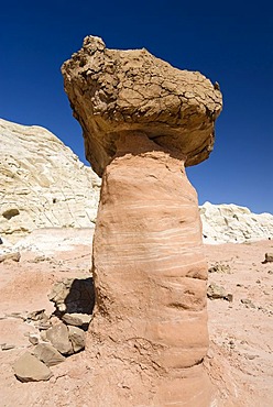 Toadstool Hoodoos, Utah, USA